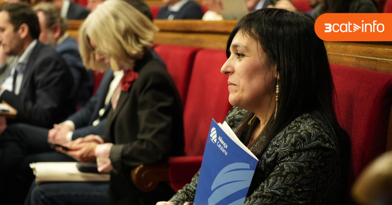 3CatInfo tweet media