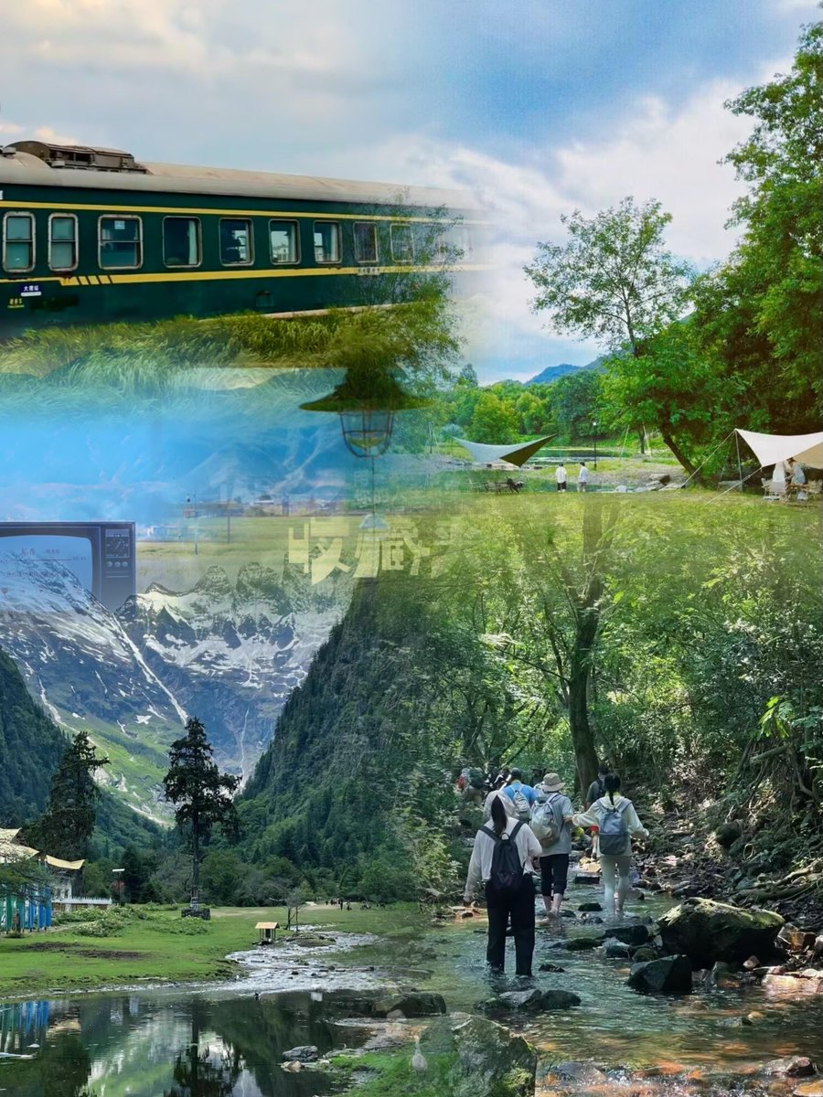 pedro silva rojas tweet media