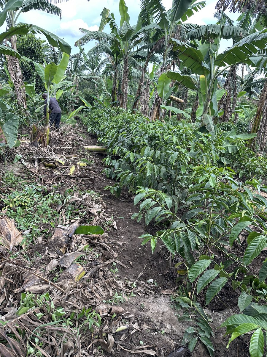 Novine Farm 🧑‍🌾 tweet media