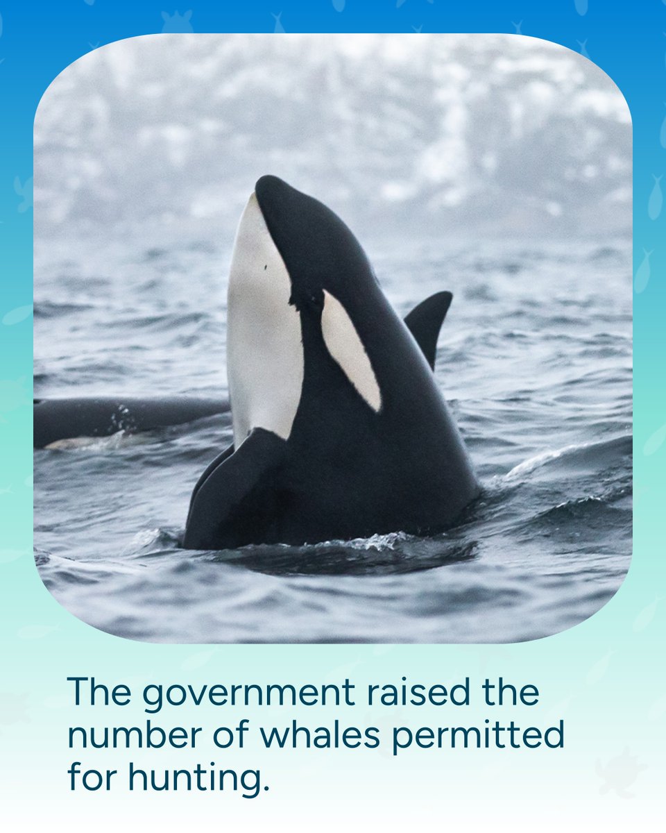 Wave Browser tweet media