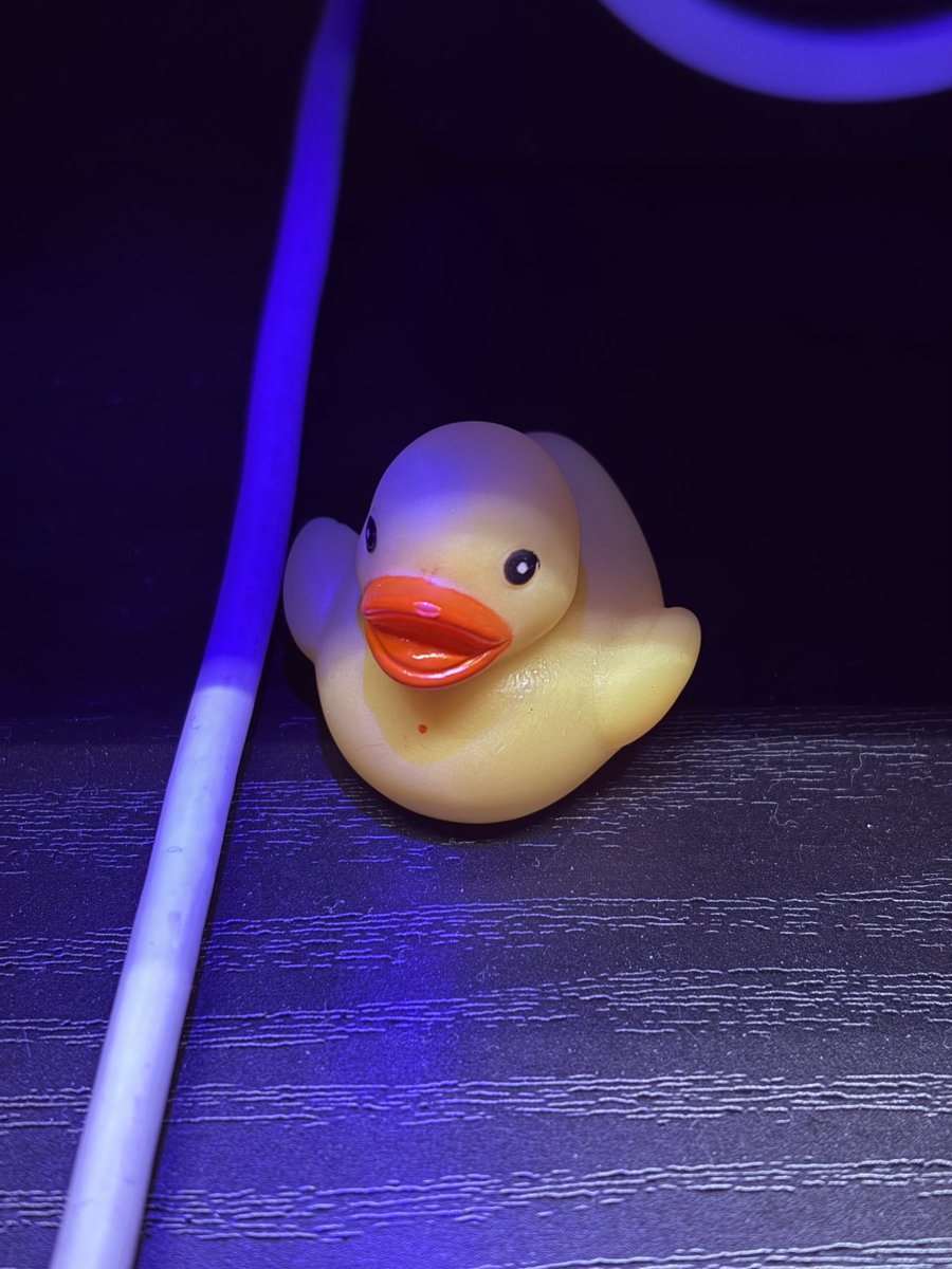 P4cific@ハルニレスタジオ tweet media