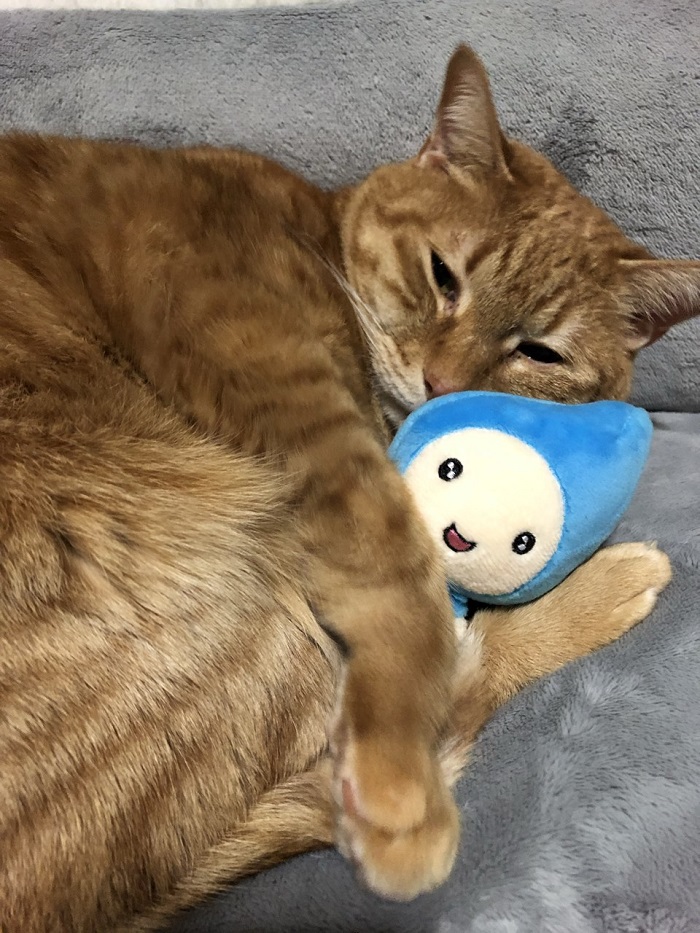 【公式】ダイナムゆったり館石川加賀店～Since.2009.8.6～ tweet media