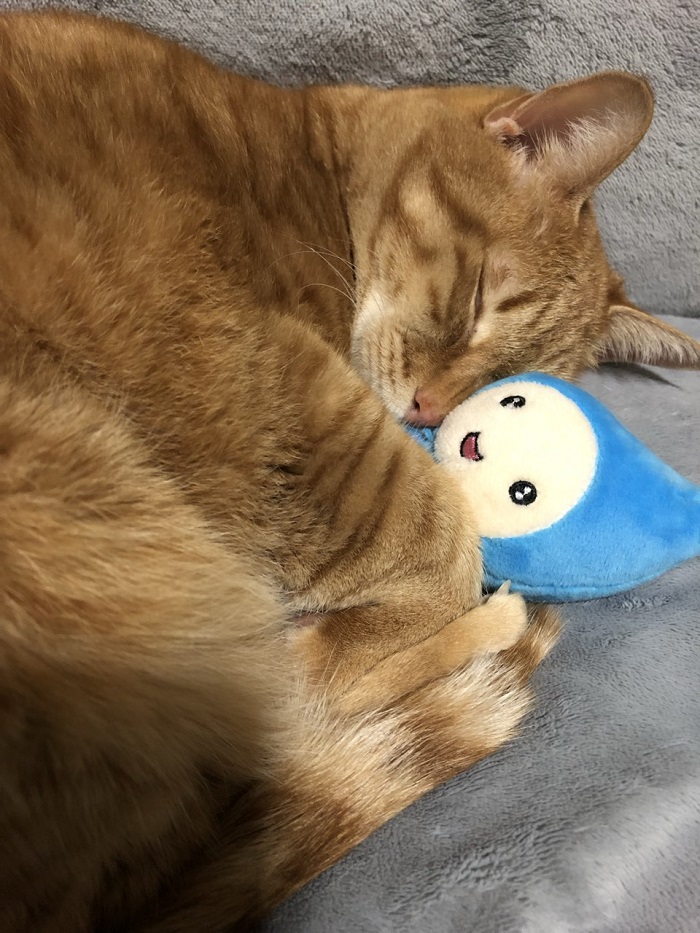 【公式】ダイナムゆったり館石川加賀店～Since.2009.8.6～ tweet media