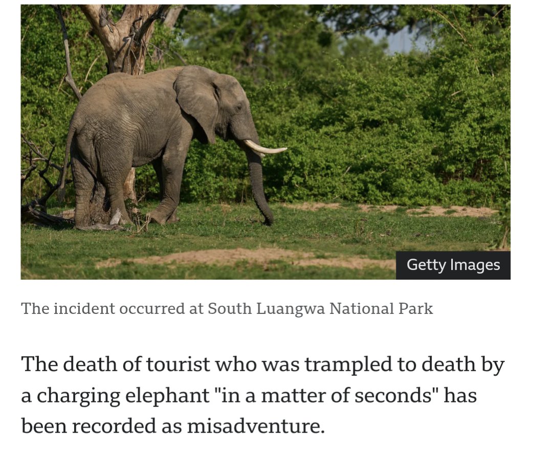 The_Tony_U📷🎞️📸 tweet media