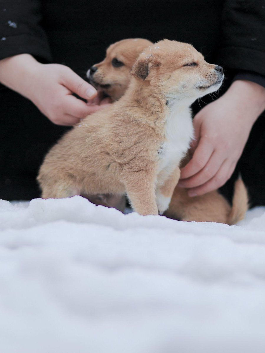 Carrie Casto tweet media