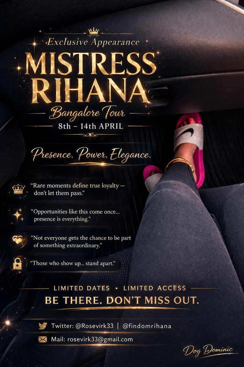 DOG DOMINIC tweet media