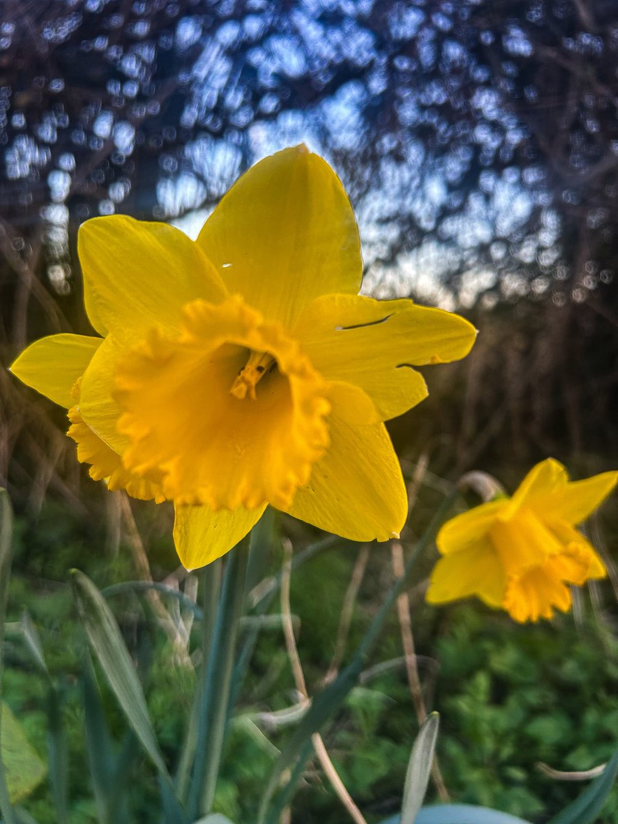 Life in Photos by Jen 📸 tweet media