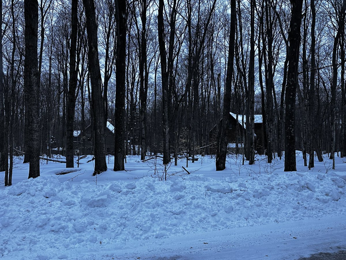 Cyber Ambassador tweet media