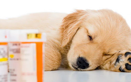 PowerPak tweet media