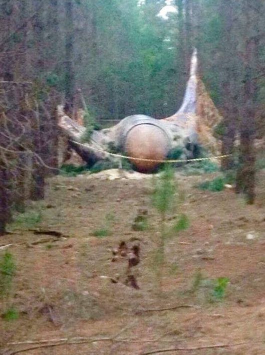 𝚃𝚒𝚖𝚎 𝚃𝚛𝚊𝚟𝚎𝚕𝚎𝚛 tweet media