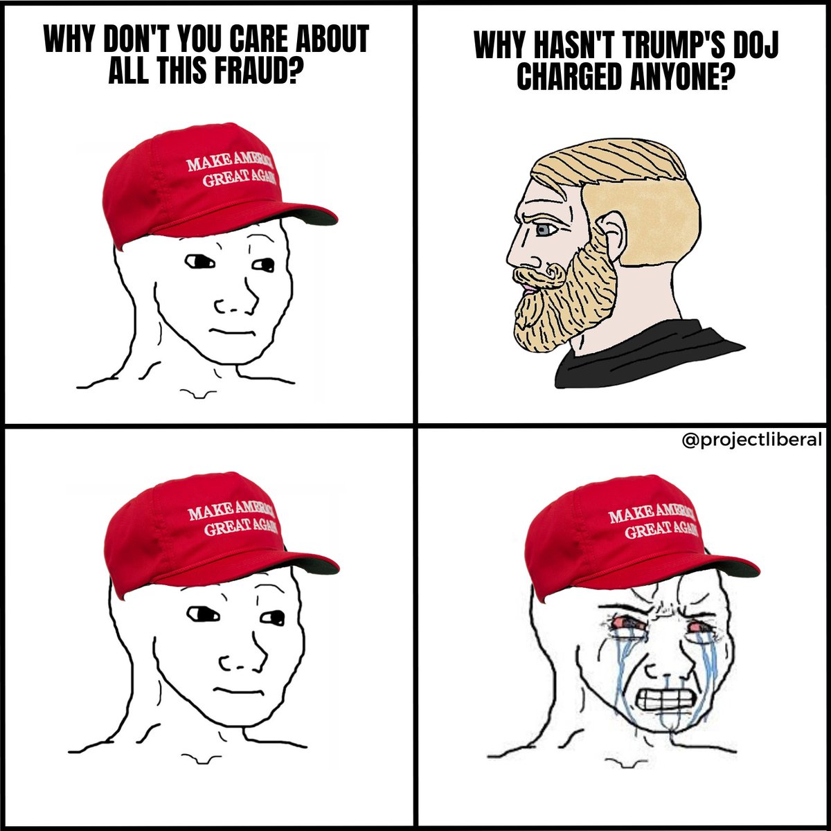 Project Liberal tweet media