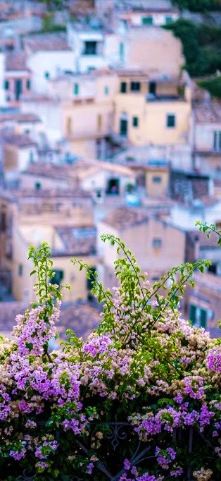 Manu_Ela tweet media