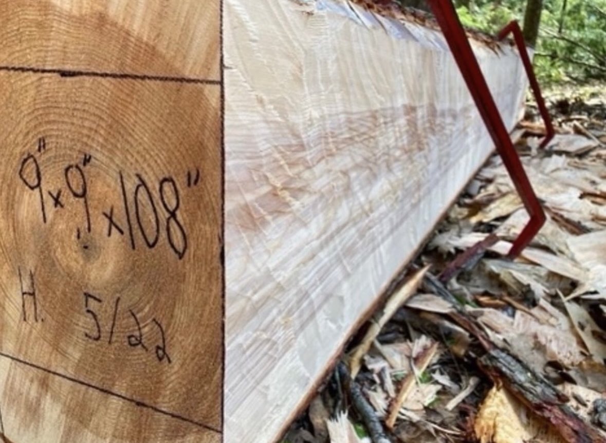 Renaissance Timber LLC tweet media