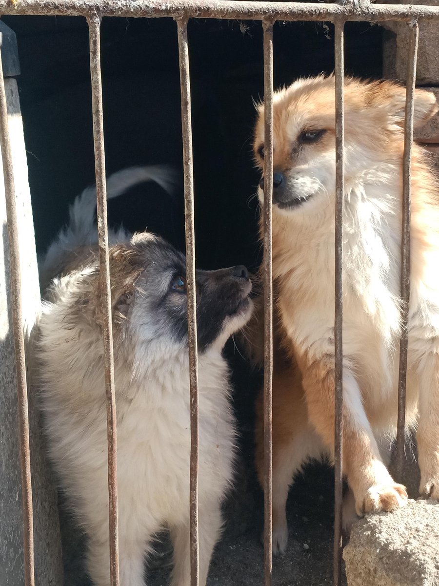 tracy cooper tweet media