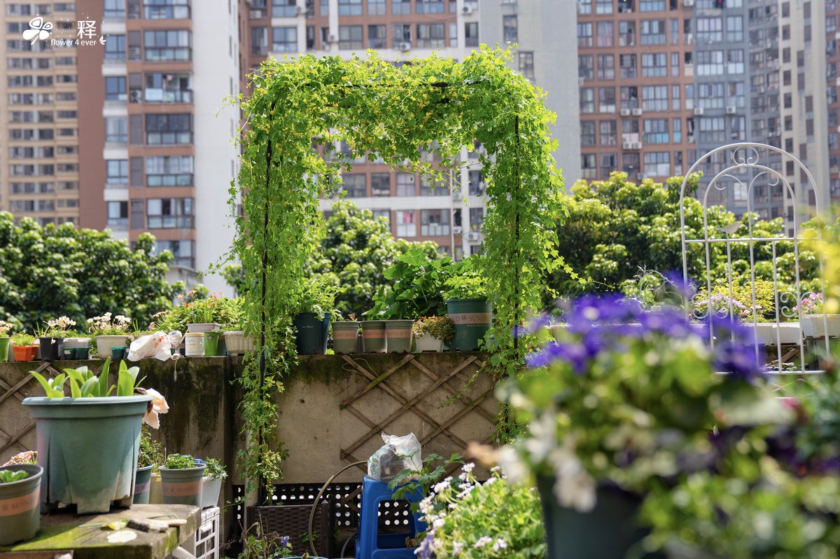 Cupid diva tweet media