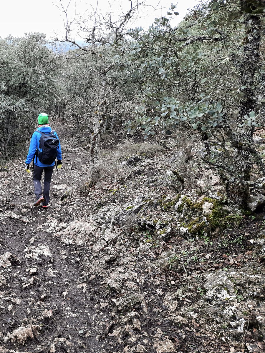 Al Filo Infrüngible tweet media