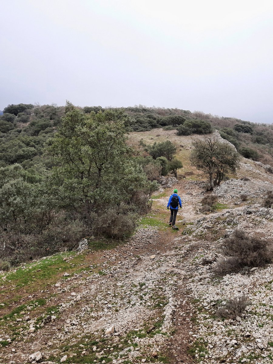 Al Filo Infrüngible tweet media