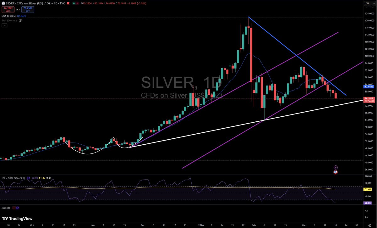 Silver Wolf 🐺 tweet media