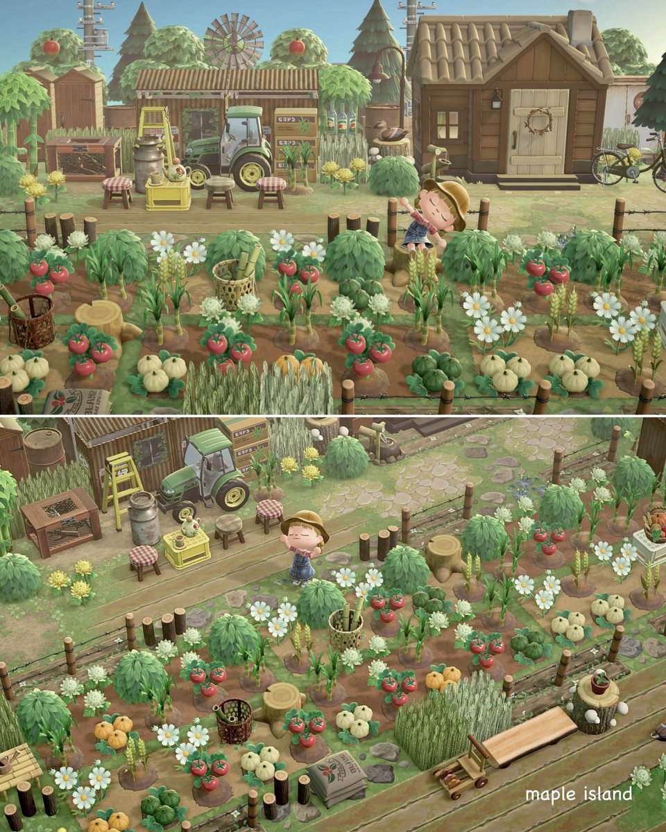 ▫️久しぶりの畑作業🍅▫️maple island🍃
*
チャスくんの家の前です❤︎
*
#あつ森　#animalcrossing
#animalcrossingnewhorizons