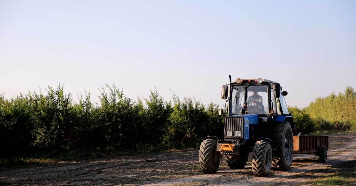 fioulreduc tweet media