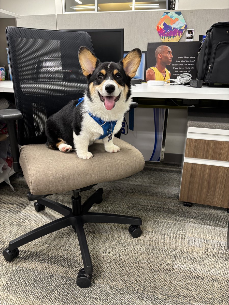 Andy Falcón tweet media