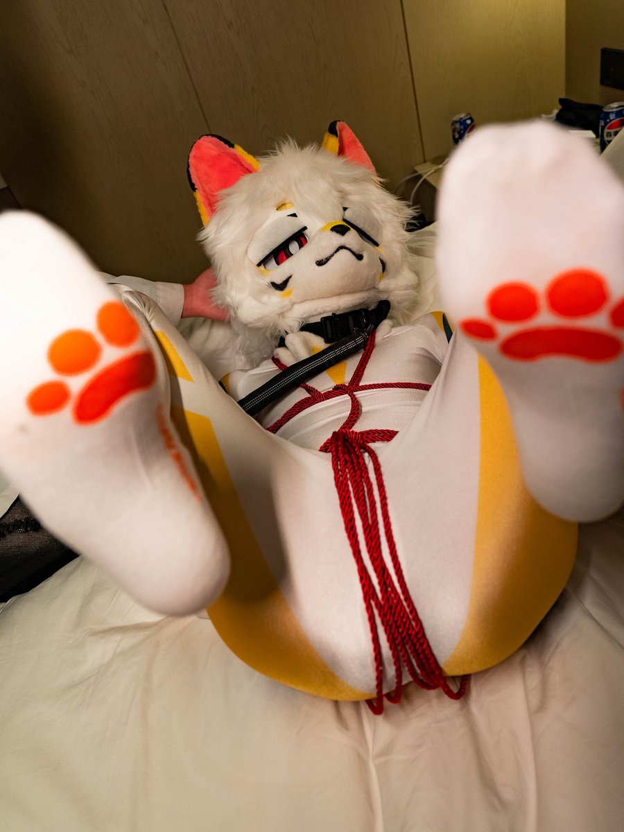 白晓焰 tweet media