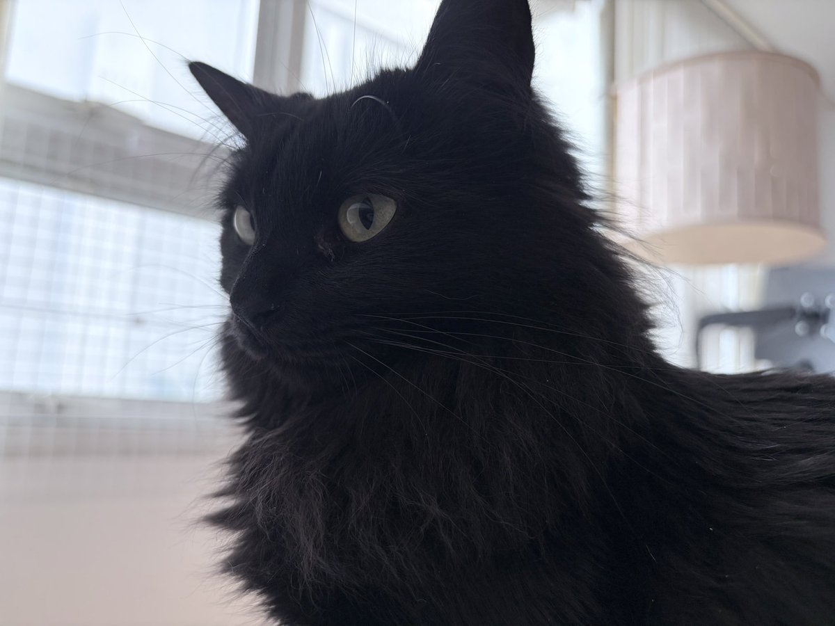 제로 콜라🥤 tweet media