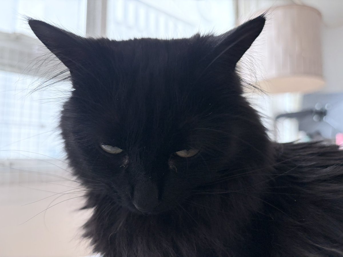 제로 콜라🥤 tweet media