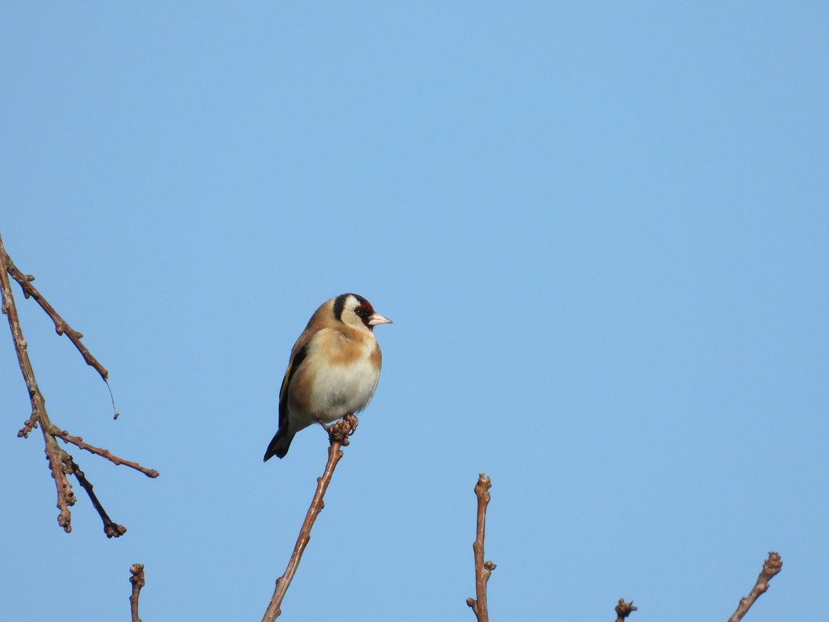 Mark Nowers tweet media