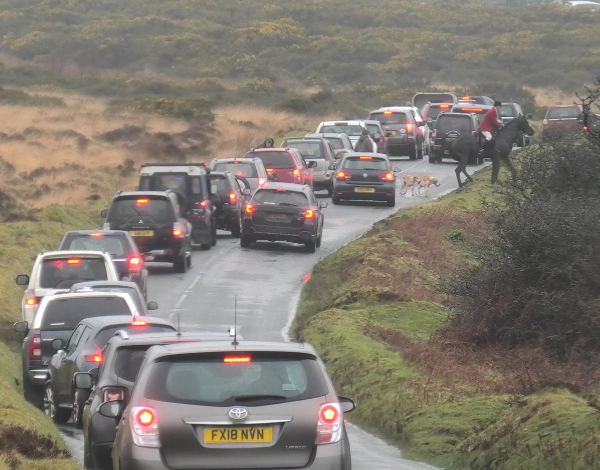 HSA Chair tweet media