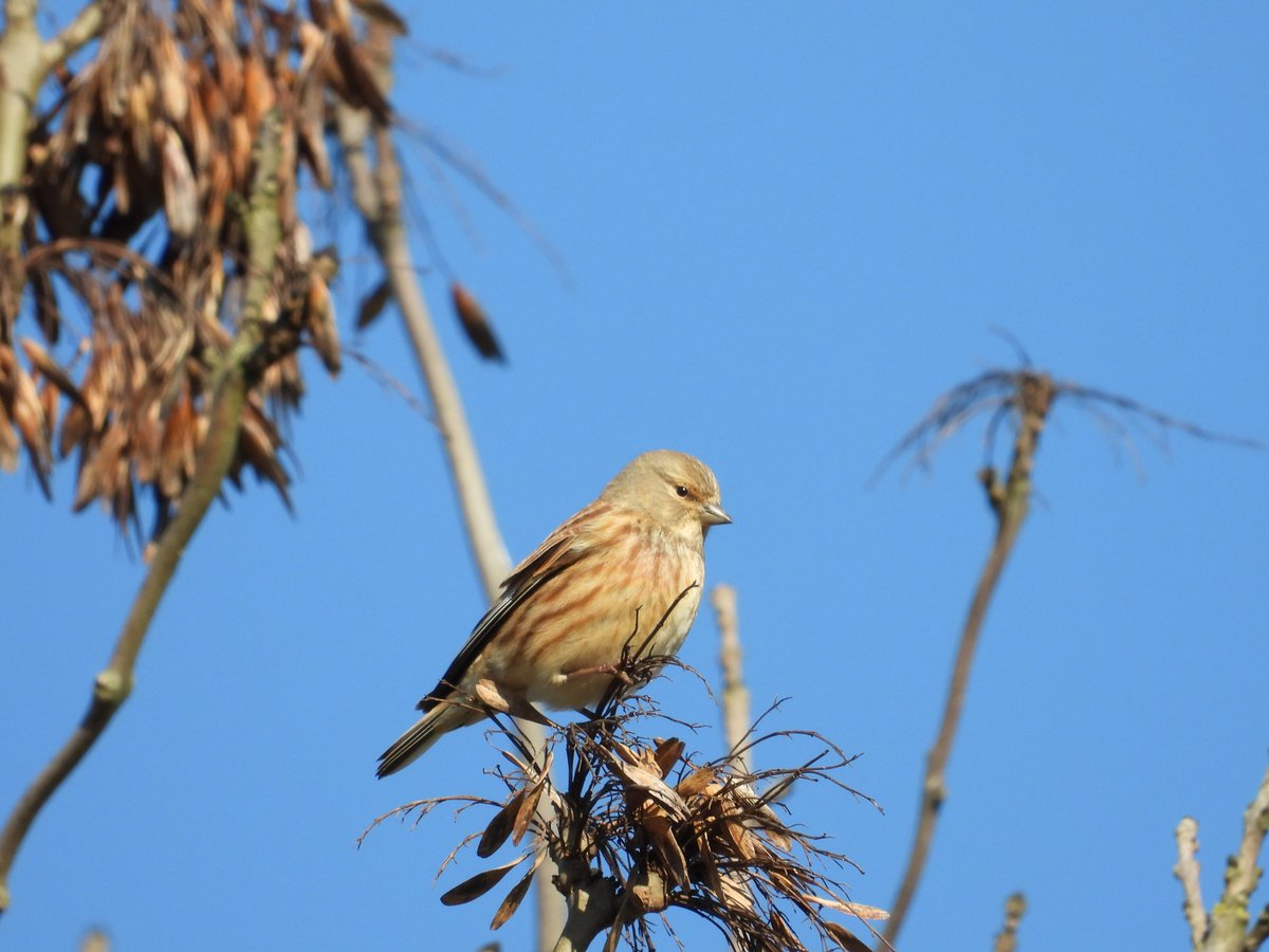 Mark Nowers tweet media