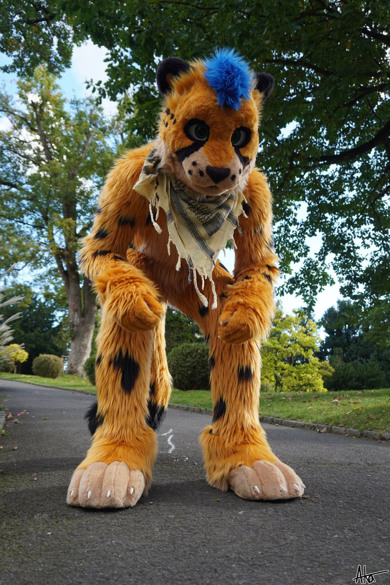 Blackspot-Yeetah tweet media