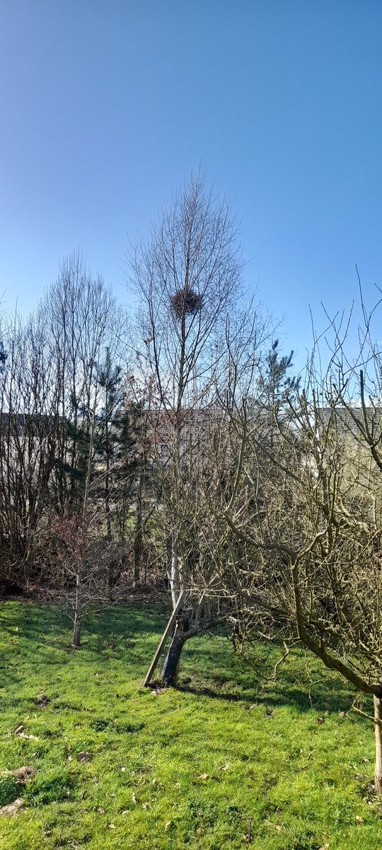 Jonathan Humble tweet media