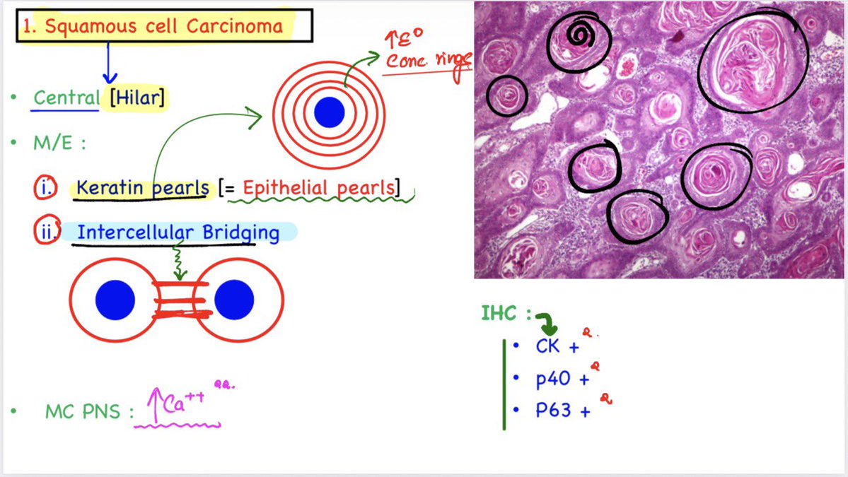 Dr Devesh Mishra tweet media