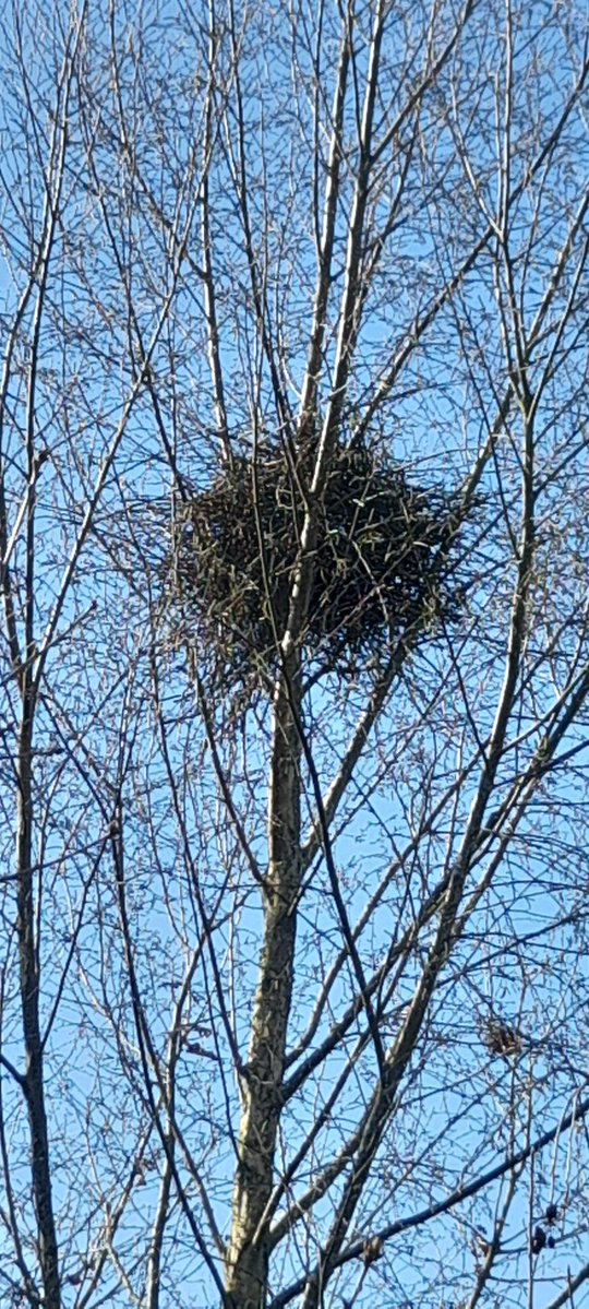 Jonathan Humble tweet media