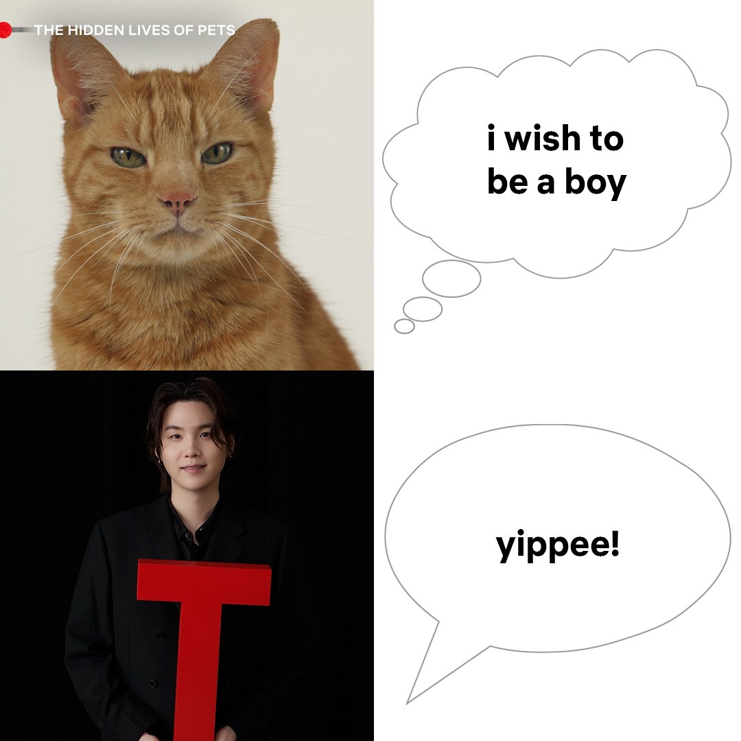 Netflix Philippines tweet media