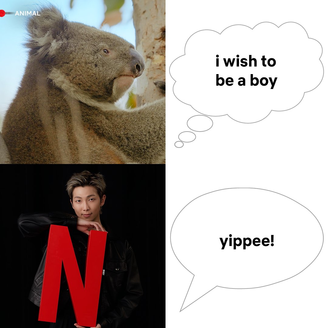 Netflix Philippines tweet media