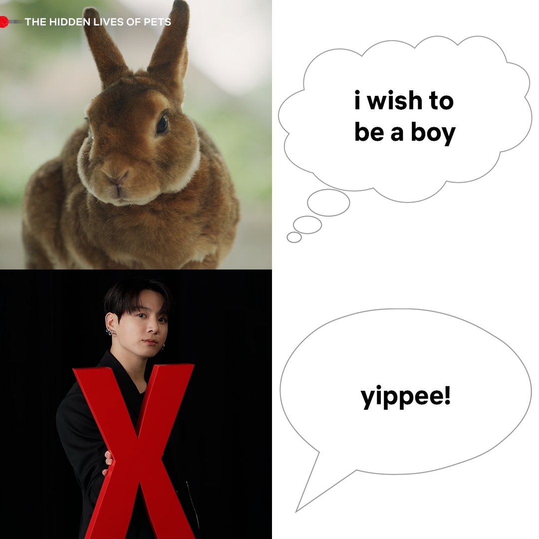 Netflix Philippines tweet media