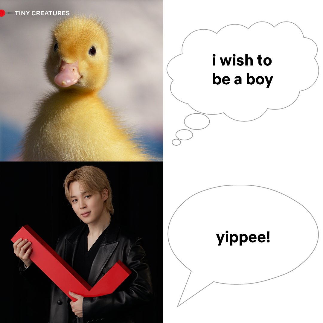 Netflix Philippines tweet media