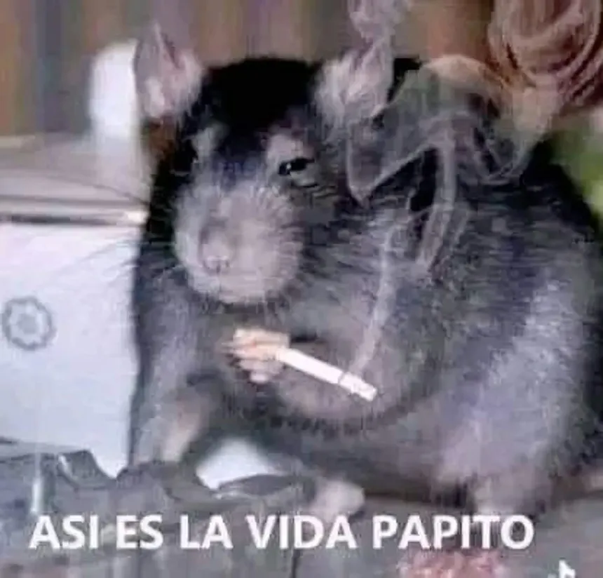 BRANDON🍀🖤 || tweet media