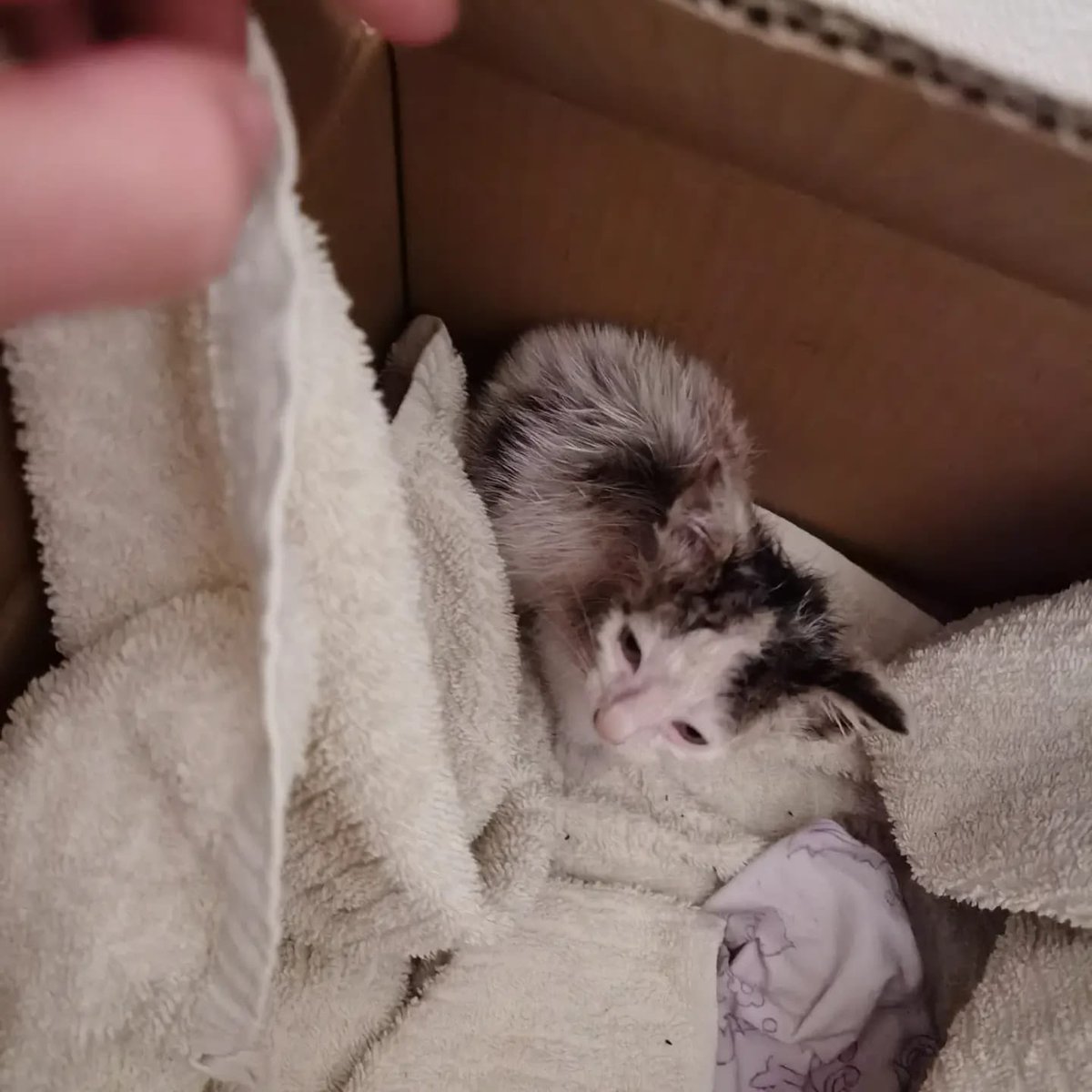 Stacy Bloom tweet media