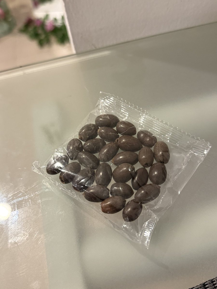 Anastasia Starzeva tweet media