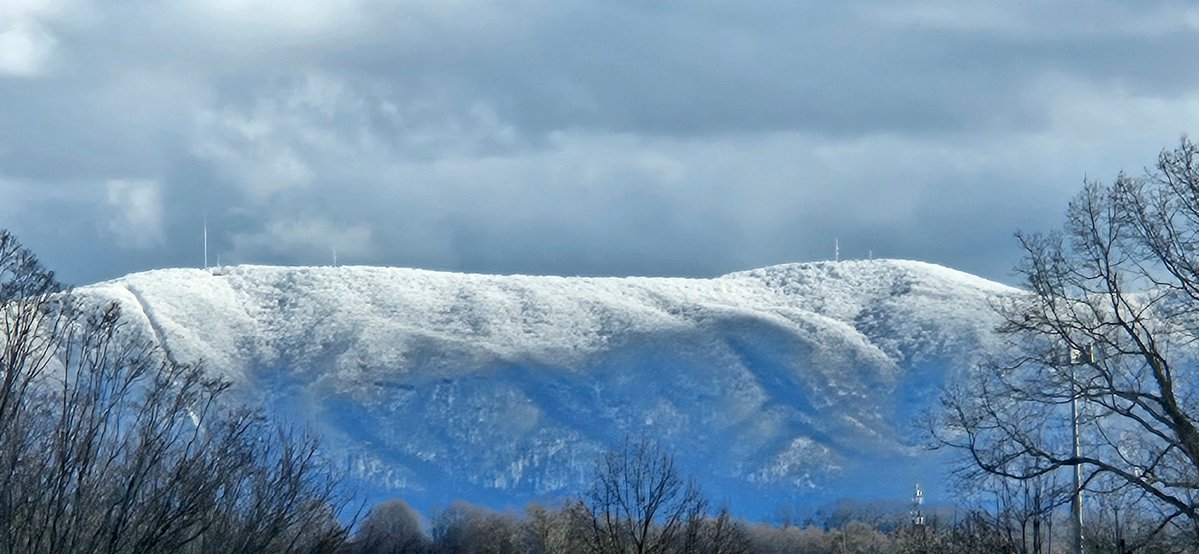 David Boyd tweet media