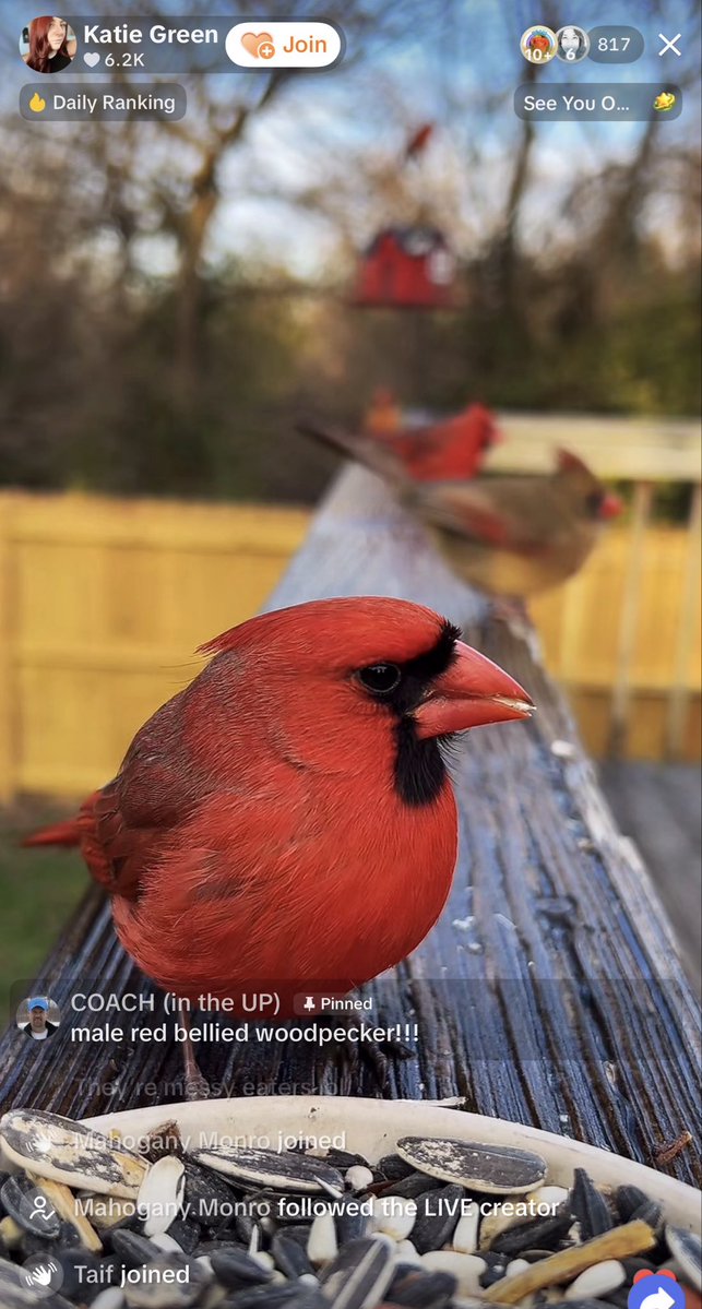 ☁️💰 The Cloud Siren 💰☁️ tweet media