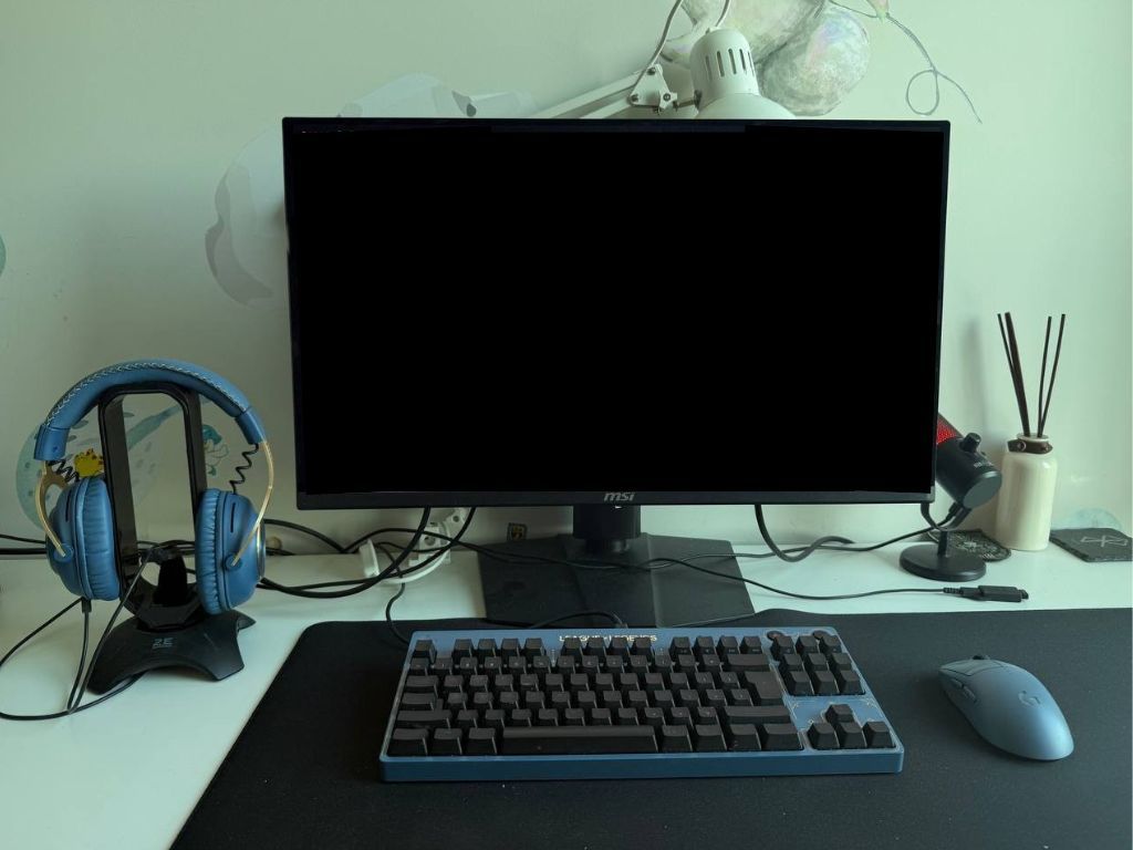 Alex | Systems Architect tweet media