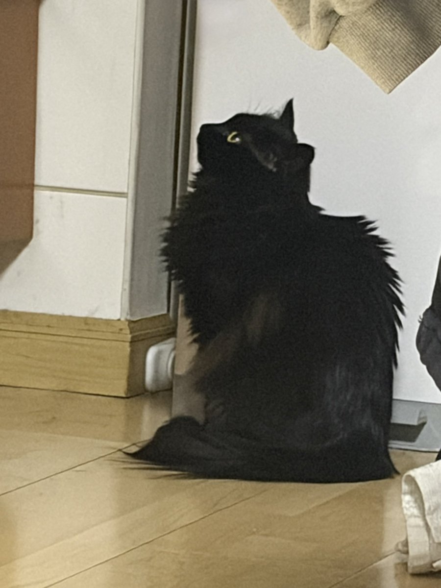 제로 콜라🥤 tweet media