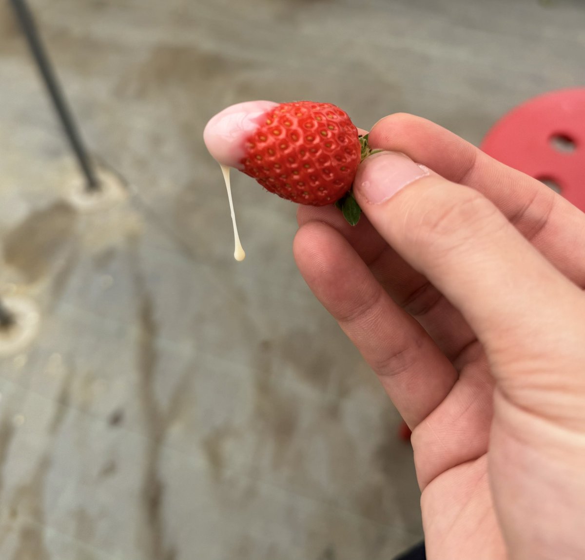 ぴーちゅん tweet media