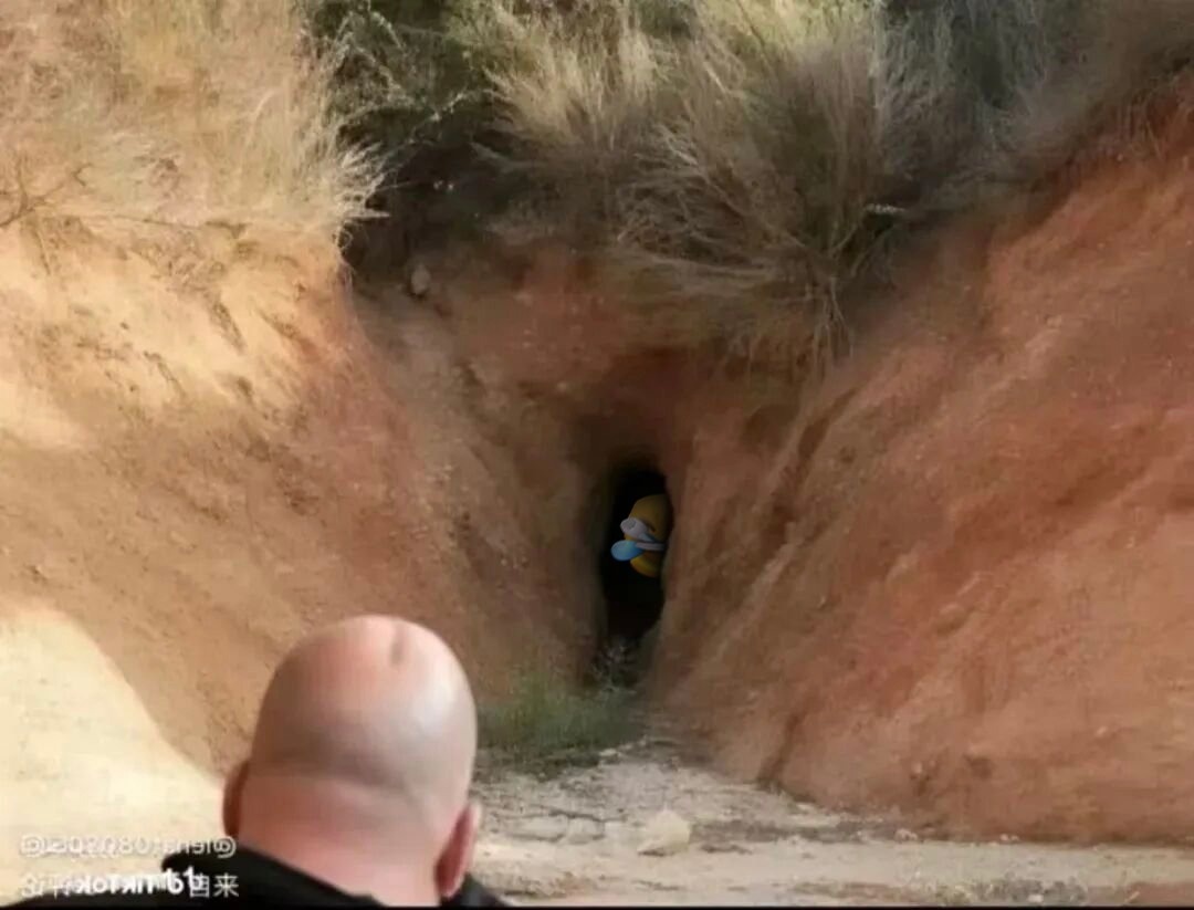 ChicoMOGalupe tweet media