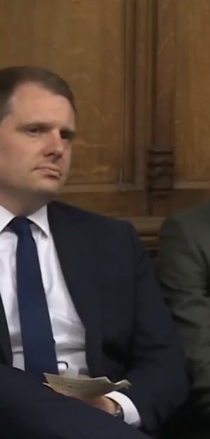 𝔗𝔦𝔪 𝔑𝔢𝔴𝔩𝔦𝔫𝔤 tweet media