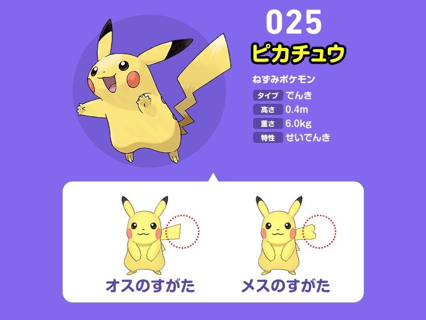 31______'s tweet photo. え、ピカチュウにメスいたの？？！？ https://t.co/snLHExAdRy